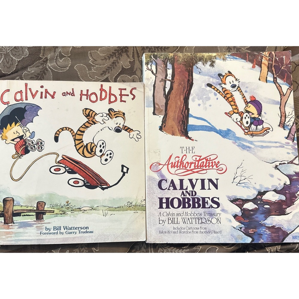 Calvin and Hobbes: A Calvin and Hobbes 2 Children's graphic novel Books